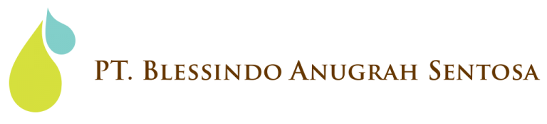 PT. Blessindo Anugerah Sentosa – Where ours made perfectly